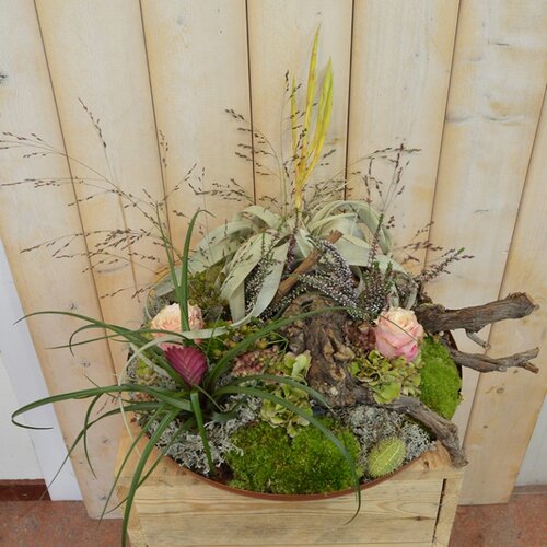 Familie workshop week 44 - TuinWereld Wijchen