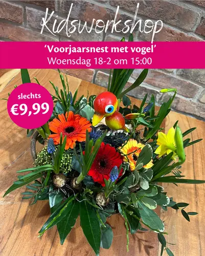 Kidsworkshop 'Voorjaarsnest met vogel' (woe 18-2)