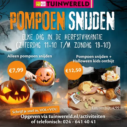 Pompoen snijden + Kids Halloween ontbijt