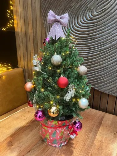 (Kids)workshop 'Kerstboom'