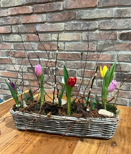 Workshop 'Langwerpige Tulpenpracht'