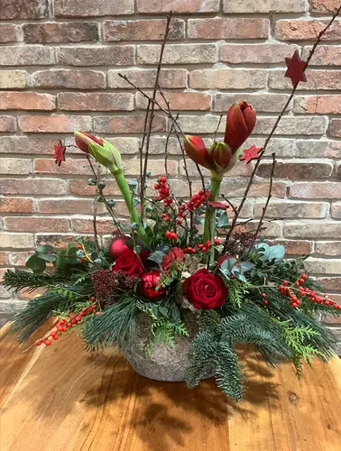 Workshop 'Merry Christmas'