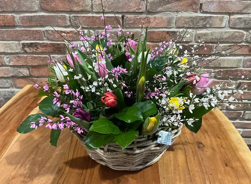 Workshop 'Royale Tulpenmand'