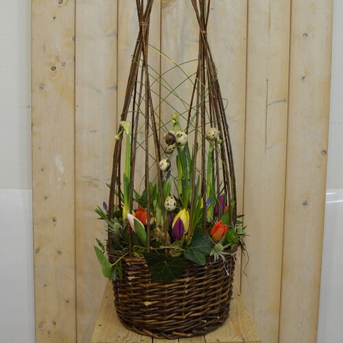 Workshop week 10 - TuinWereld Wijchen