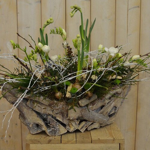 Workshop week 10 - TuinWereld Wijchen