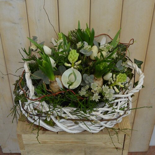 Workshop week 10 - TuinWereld Wijchen