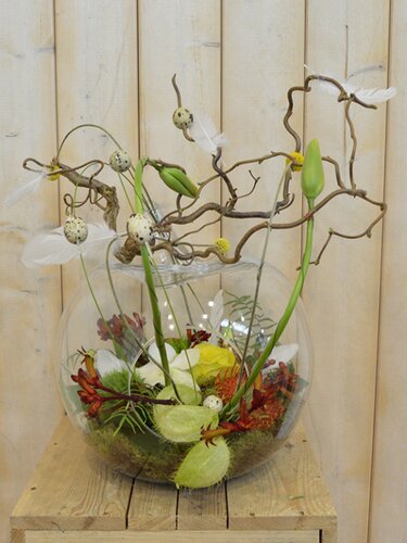 Workshop week 10 - TuinWereld Wijchen
