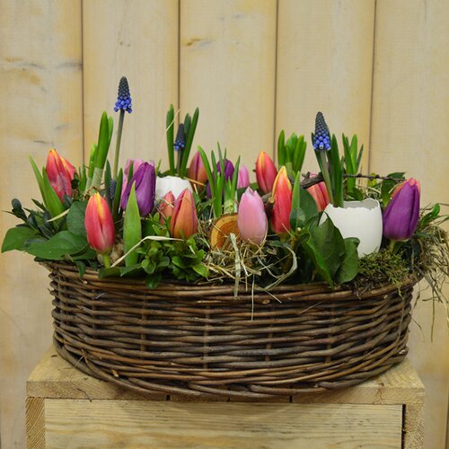 Workshop week 11 EXTRA - TuinWereld Wijchen
