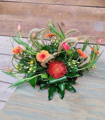 Workshop week 17 - TuinWereld Malden