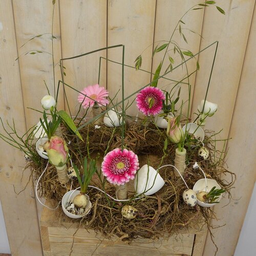 Workshop week 11 - TuinWereld Wijchen