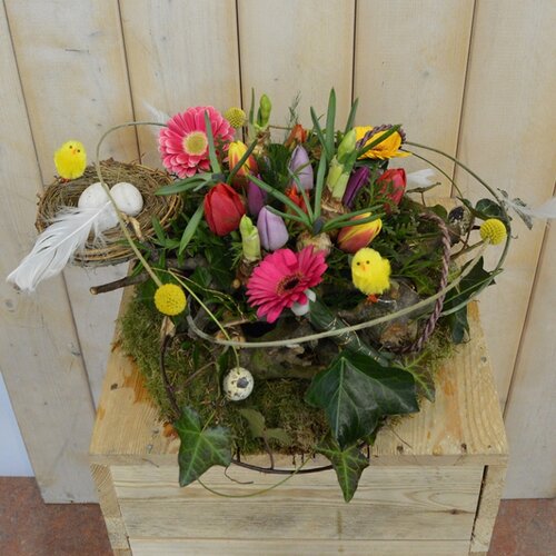 Workshop week 11 - TuinWereld Wijchen