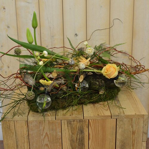 Workshop week 12 - TuinWereld Wijchen