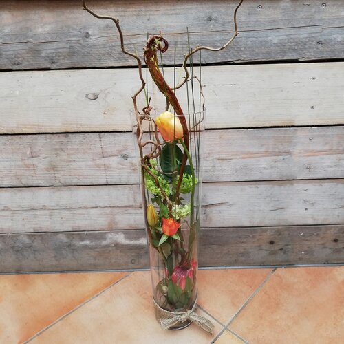 Workshop week 13 - TuinWereld Malden