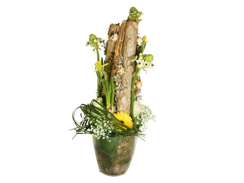 Workshop week 13 - TuinWereld Tiel