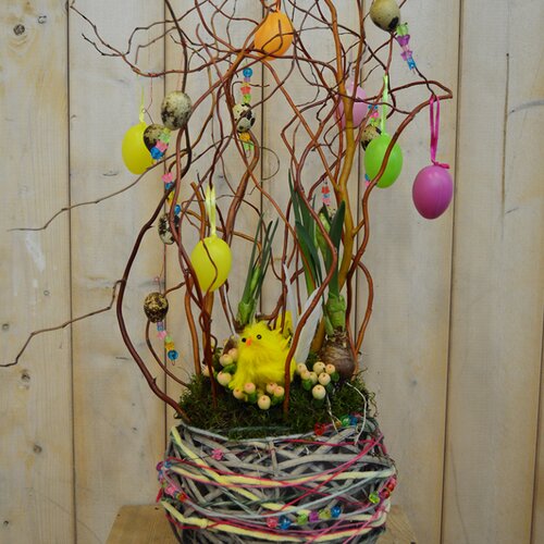 Workshop week 13 - TuinWereld Wijchen