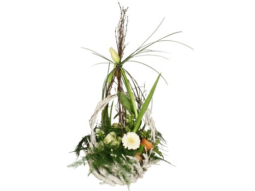 Workshop week 14+15 - TuinWereld Tiel
