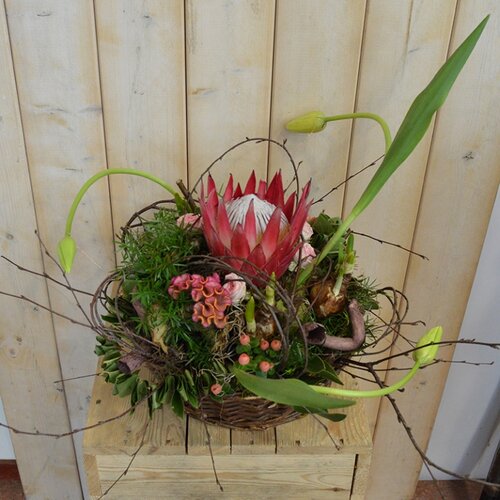 Workshop week 14 - TuinWereld Wijchen