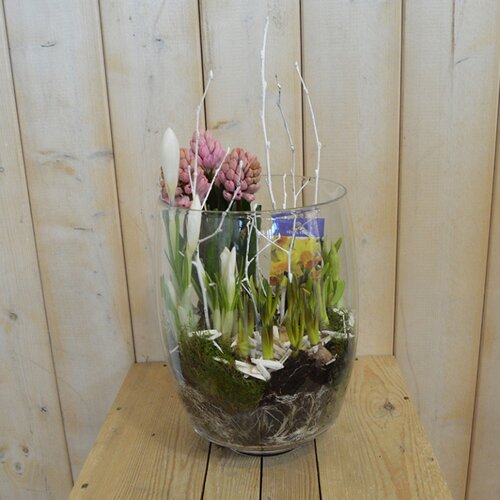 Workshop week 14 - TuinWereld Wijchen