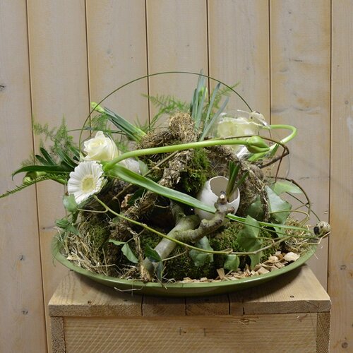 Workshop week 14 - TuinWereld Wijchen