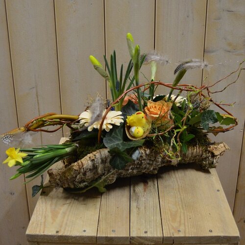 Workshop week 14 - TuinWereld Wijchen