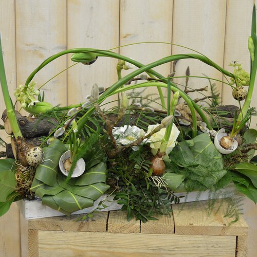 Workshop week 14 - TuinWereld Wijchen