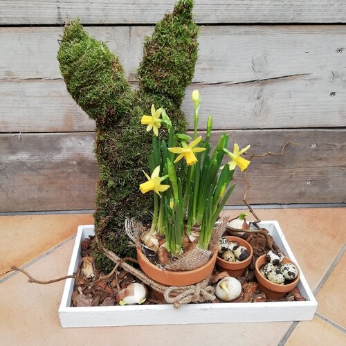 Workshop week 15 - TuinWereld Malden