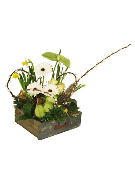 workshop week 15 - TuinWereld Tiel