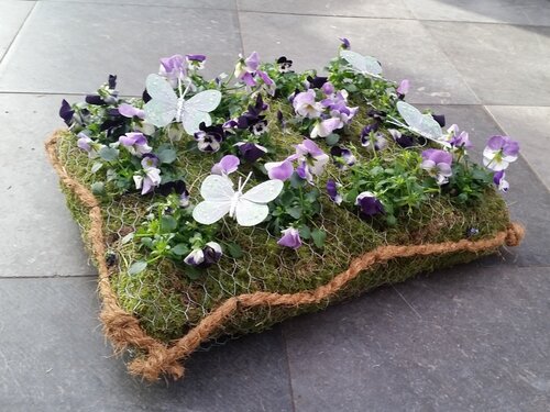 Workshop week 16 - TuinWereld Malden