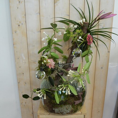Workshop week 16 - TuinWereld Wijchen
