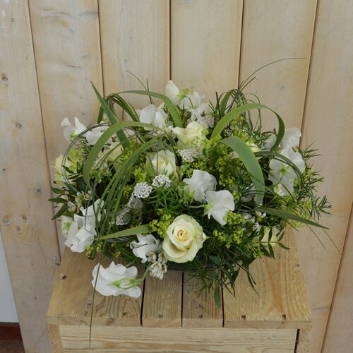 Workshop week 16 - TuinWereld Wijchen