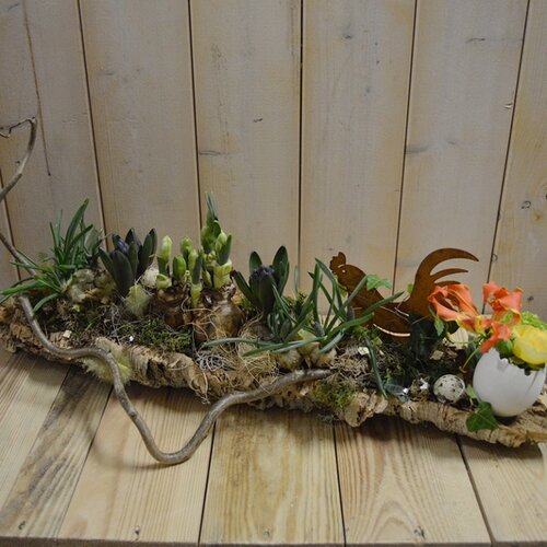 Workshop week 16 - TuinWereld Wijchen
