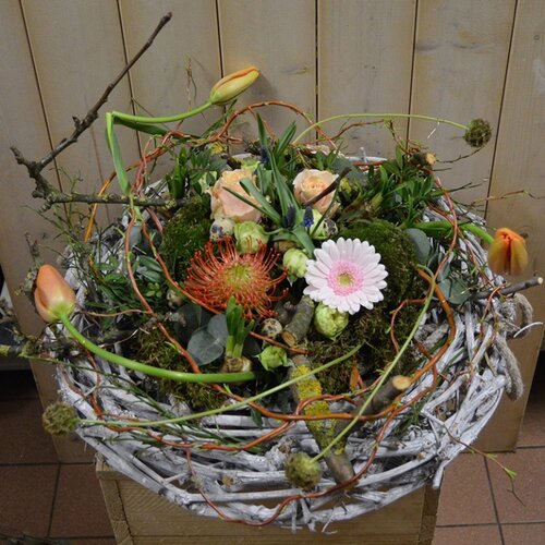 Workshop week 16 - TuinWereld Wijchen
