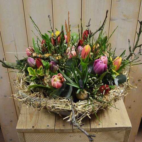 Workshop week 16 - TuinWereld Wijchen