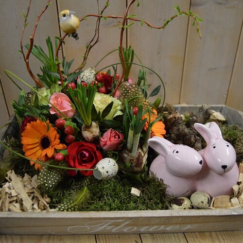 Workshop week 16 - TuinWereld Wijchen