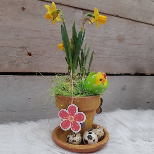 Workshop week 17 | TuinWereld Wijchen