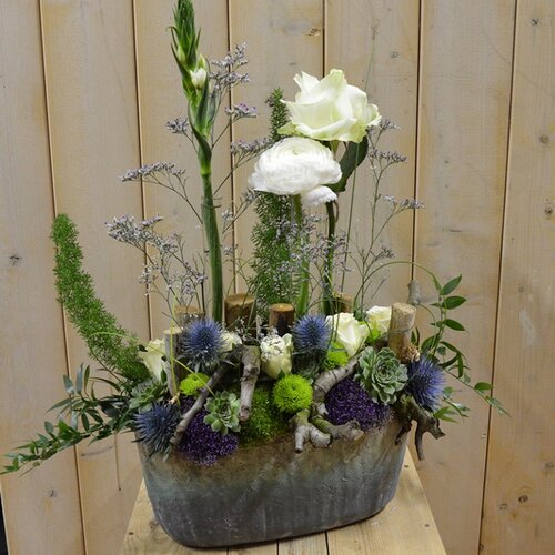 Workshop week 17 - TuinWereld Wijchen
