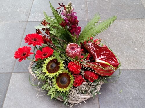 Workshop week 18 - TuinWereld Malden