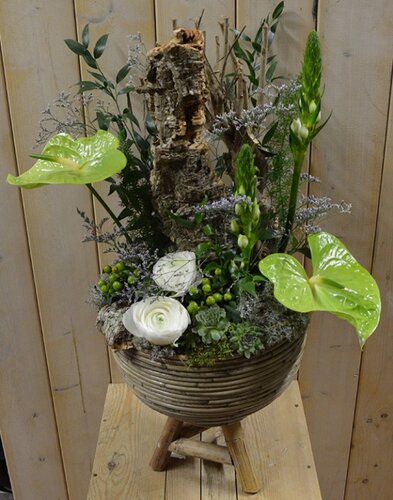Workshop week 18 - TuinWereld Wijchen