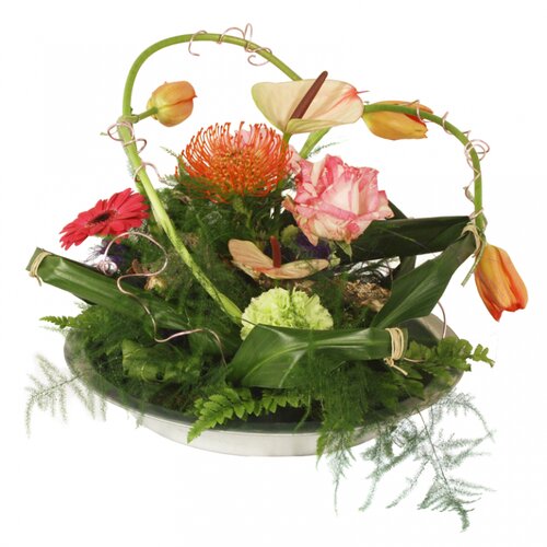 Workshop week 19 - TuinWereld Tiel