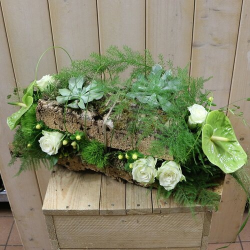 Workshop week 21 - TuinWereld Wijchen