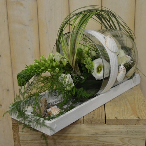 Workshop week 21 - TuinWereld Wijchen