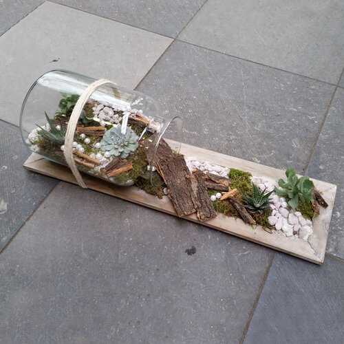 Workshop week 22 - TuinWereld Malden