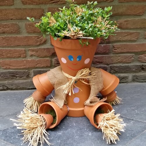 Workshop week 24 - TuinWereld Malden