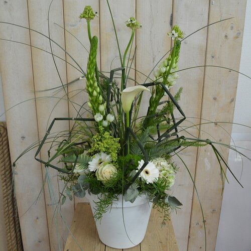 Workshop week 24 - TuinWereld Wijchen