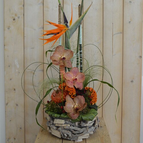 Workshop week 24 - TuinWereld Wijchen