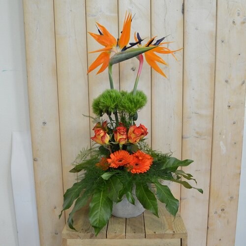 Workshop week 29 - TuinWereld Wijchen