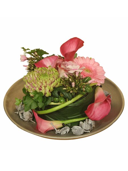 Workshop week 3 en 4 - TuinWereld Tiel