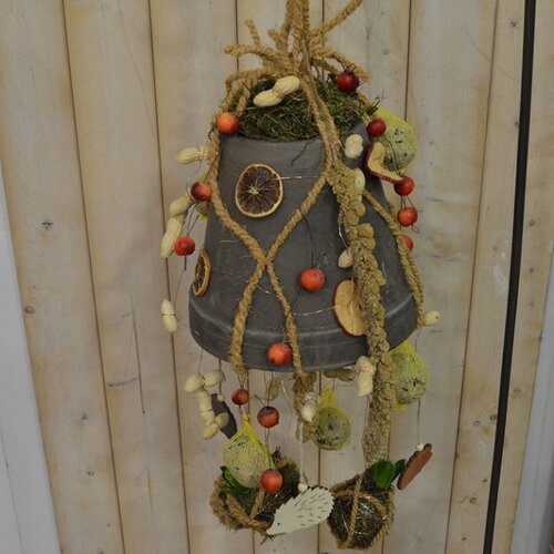 Workshop week 3 - TuinWereld Wijchen
