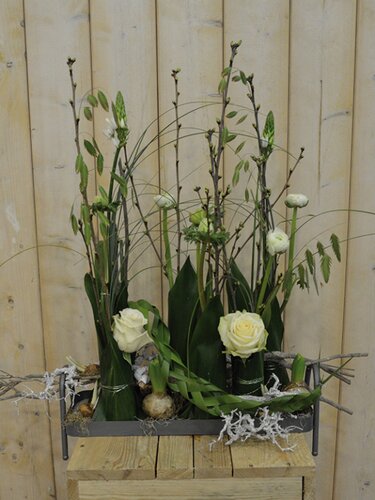 Workshop week 3 - TuinWereld Wijchen