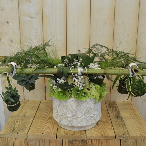 Workshop week 34 - TuinWereld Wijchen